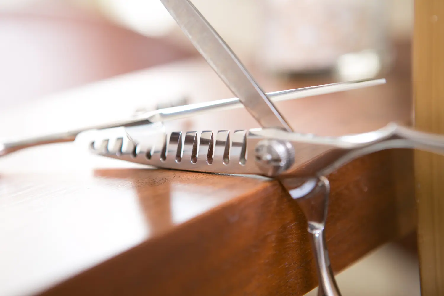 Andrea Pianski-Salon Freestyle UG – Haarschneideschere