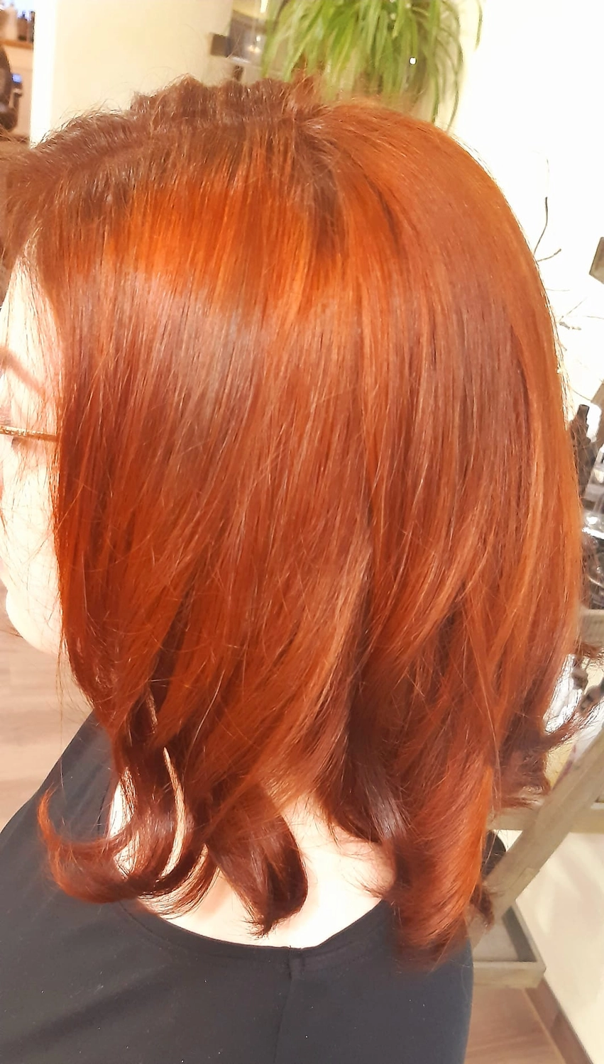 Andrea Pianski-Salon Freestyle UG – Haarpflegeprodukte im Regal ausgestellt